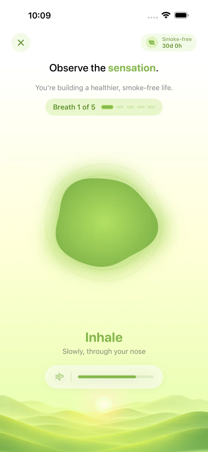 Breath phase — five guided breaths, the blob inflates and settles with the cycle.